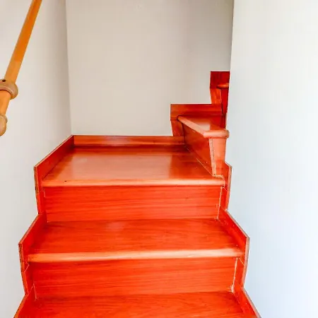 Homiday - Pinetina Pineto