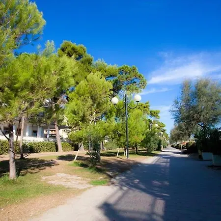 Homiday - Pinetina Daire *