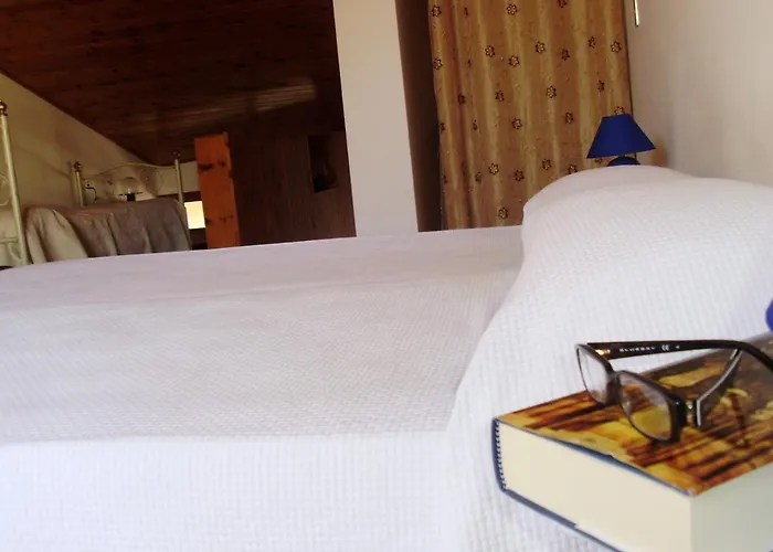 Homiday - Pinetina * Pineto