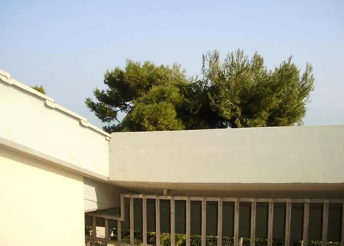 Homiday - Pinetina *